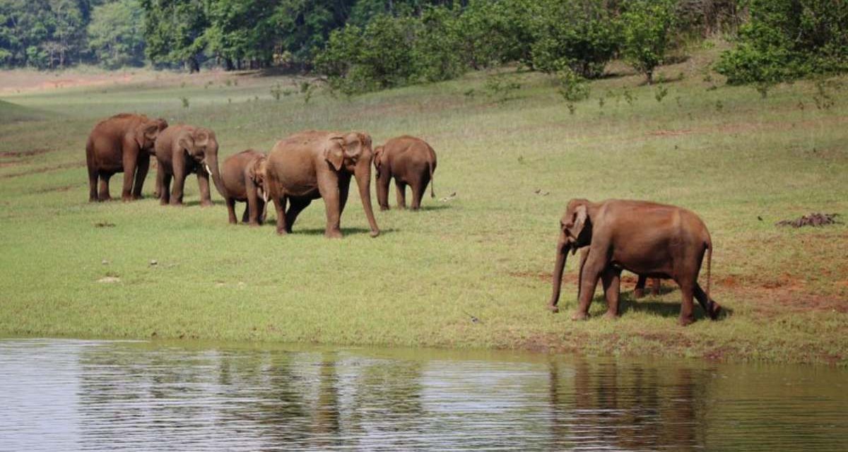 Thekkady-Historical-Places